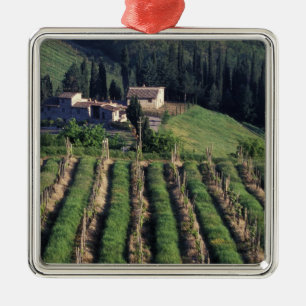 Europe, Italy, Tuscany. Scenic villa cyprus. Metal Ornament