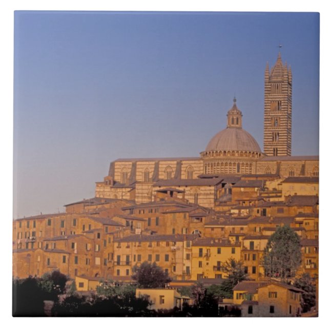 Europe, Italy, Tuscany, Siena. 13th century 3 Tile (Front)