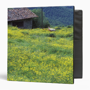 Europe, Italy, Tuscany, Siena, Chianti. Binder