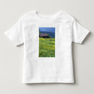 Europe, Italy, Tuscany, Siena, Chianti. Toddler T-shirt
