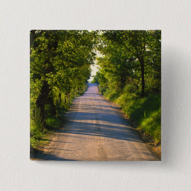 Europe, Italy, Tuscany, tree lined road 2 Inch Square Button (Front)