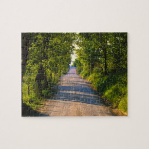 Europe, Italy, Tuscany, tree lined road Jigsaw Puzzle