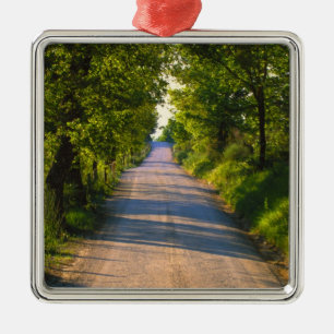 Europe, Italy, Tuscany, tree lined road Metal Ornament