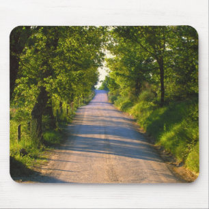 Europe, Italy, Tuscany, tree lined road Mouse Pad