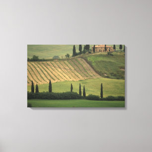 Europe, Italy, Tuscany, Val d' Orcia, Tuscan Canvas Print