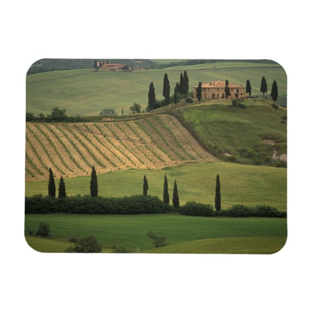 Europe, Italy, Tuscany, Val d' Orcia, Tuscan Magnet (Horizontal)