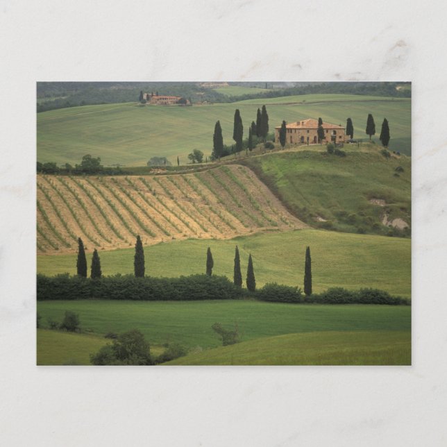 Europe, Italy, Tuscany, Val d' Orcia, Tuscan Postcard (Front)