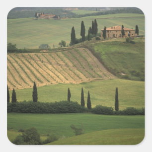 Europe, Italy, Tuscany, Val d' Orcia, Tuscan Square Sticker