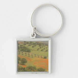 Europe, Italy, Tuscany, Val D'Orcia, Monte Keychain