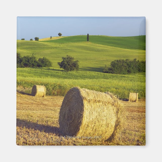 Europe, Italy, Tuscany, Val d'Orcia, Pienza - Magnet (Front)