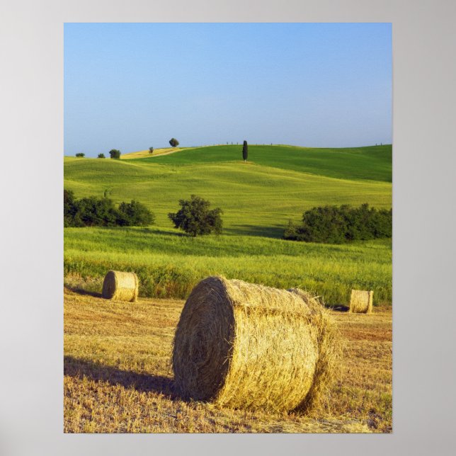 Europe, Italy, Tuscany, Val d'Orcia, Pienza - Poster (Front)
