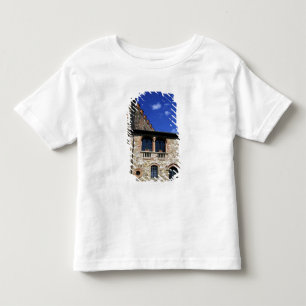 Europe, Italy, Umbria, Chianti, Montebenichi. Toddler T-shirt