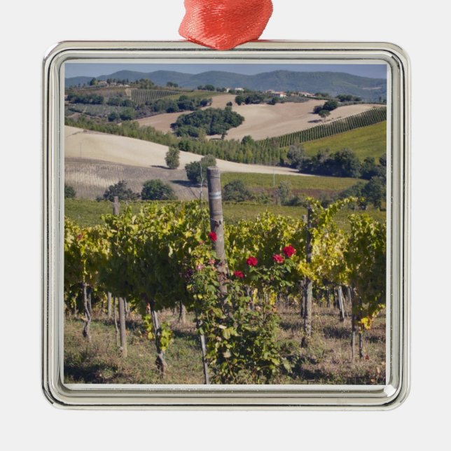 Europe, Italy, Umbria, near Montefalco, Vineyard Metal Ornament (Front)
