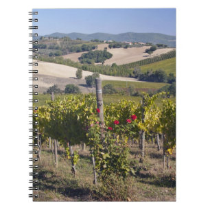 Europe, Italy, Umbria, near Montefalco, Vineyard Notebook