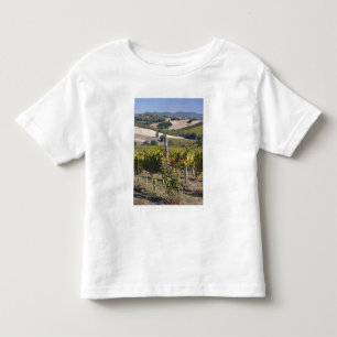 Europe, Italy, Umbria, near Montefalco, Vineyard Toddler T-shirt