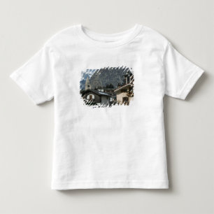 Europe, Italy, Valle d'Aosta, COURMAYEUR: Town Toddler T-shirt