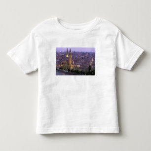 Europe, Italy, Veneto, Verona. View from Castel Toddler T-shirt