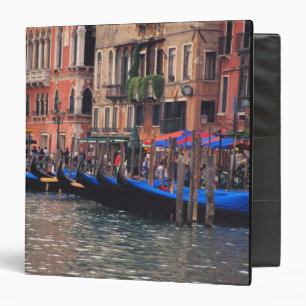 Europe, Italy, Venice, gondolas in canal Binder