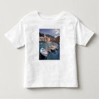 Europe, Italy, Vernazza. Brightly painted boats