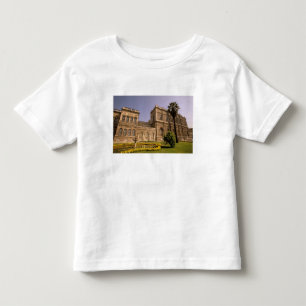 Europe, Middle East, Istanbul. The Bosphorus, Toddler T-shirt