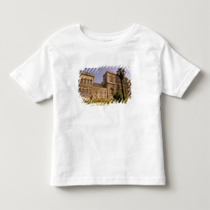 Europe, Middle East, Istanbul. The Bosphorus, Toddler T-shirt