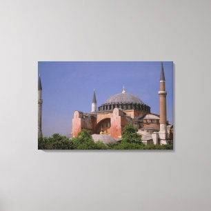 Europe, Middle East, Turkey, Istanbul. Aya Canvas Print