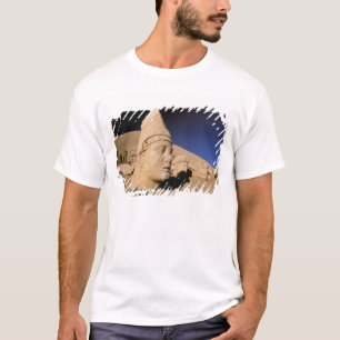 Europe, Middle East, Turkey, Nemrut Dagi Kahta T-Shirt