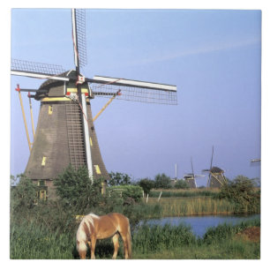 Europe, Netherlands, Zuid Holland, Kinderdijk. 2 Tile
