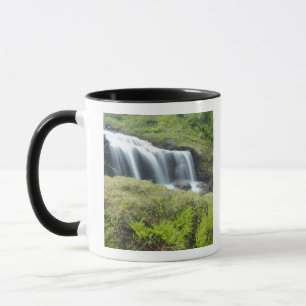 Europe, Norway. Waterfall. Mug