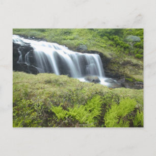 Europe, Norway. Waterfall. Postcard