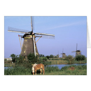 Europe, Pays-Bas, Zuid Holland, Kinderdijk. 2