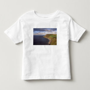 Europe, Scotland, Aberdeen. Overhead view of Toddler T-shirt