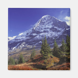 Europe, Switzerland, Eiger. Fall colours abound Magnet
