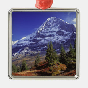 Europe, Switzerland, Eiger. Fall colours abound Metal Ornament