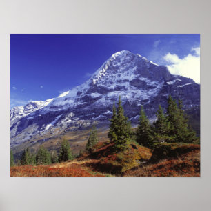 Europe, Switzerland, Eiger. Fall colours abound Poster