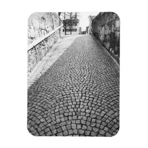 Europe, Switzerland, Zurich. Cobbled street, Magnet