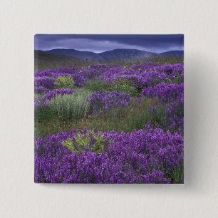 Europe, Turkey, Cappadocia. Rural landscape 2 Inch Square Button