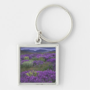 Europe, Turkey, Cappadocia. Rural landscape 2 Keychain