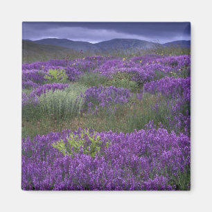 Europe, Turkey, Cappadocia. Rural landscape 2 Magnet