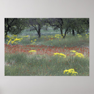 Europe, Turkey, Cappadocia. Rural landscape 2 Poster