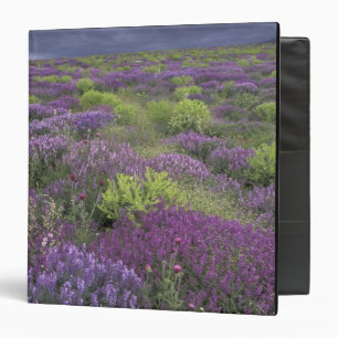 Europe, Turkey, Cappadocia. Rural landscape 3 Binder