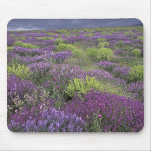 Europe, Turkey, Cappadocia. Rural landscape 3 Mouse Pad