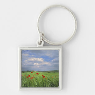 Europe, Tuscany, Poggiolo. Red poppies sway Keychain