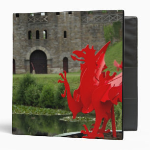 Europe, Wales, Cardiff. Cardiff Castle. Welsh Binder