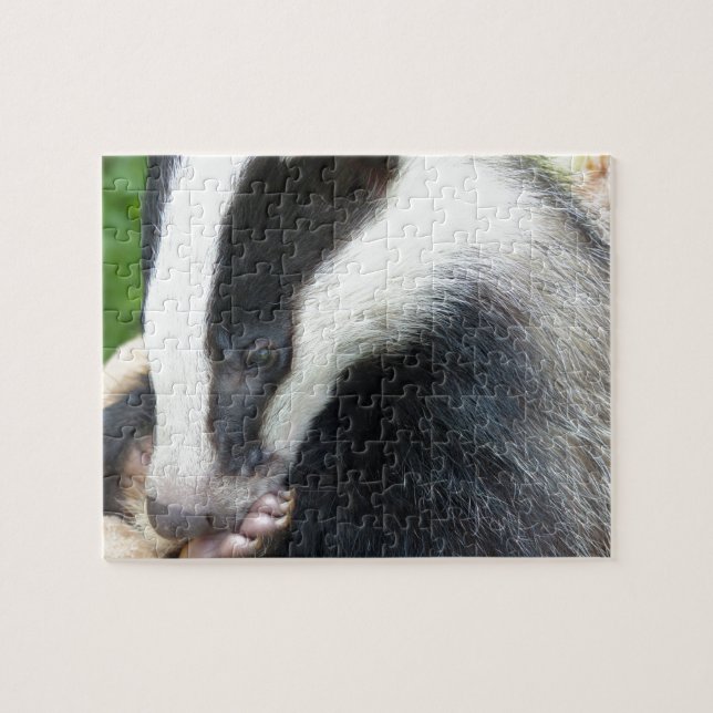 European Badger Face Jigsaw Puzzle (Horizontal)