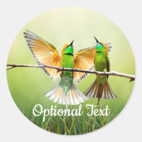 European Bee-Eater Colourful Bird