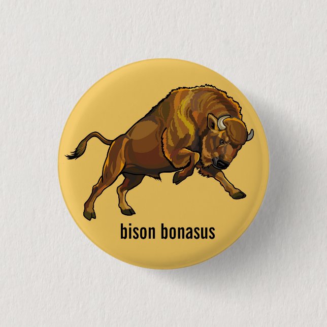 european bison 1 inch round button (Front)