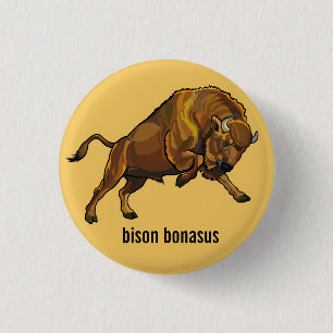european bison 1 inch round button