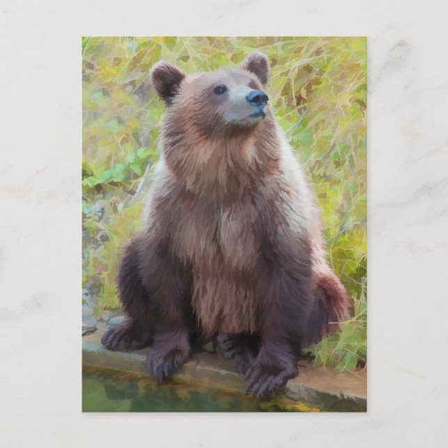 European Brown Bear in Bern Bear Park Postcard (Front)