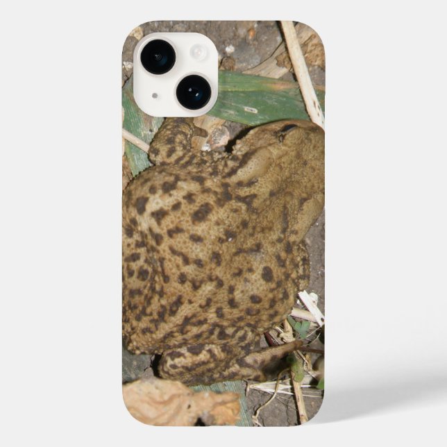 European Common Toad iPhone 5 Case (Back)